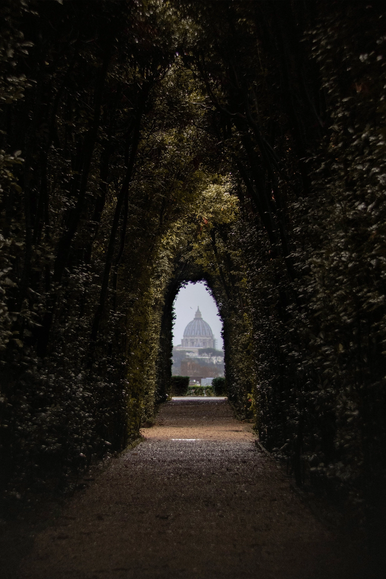 Ruma Luckeenarain - Director